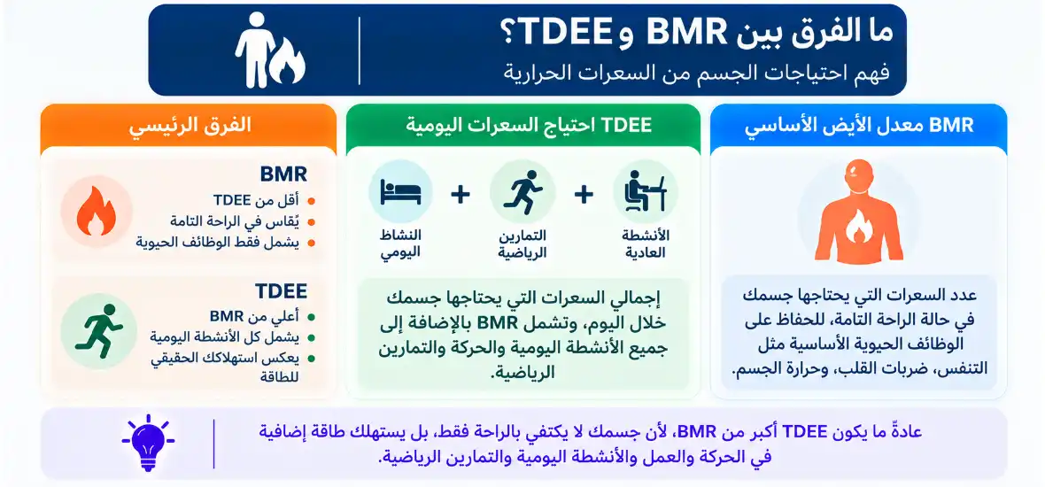 ما الفرق بين BMR واحتياج السعرات اليومية TDEE