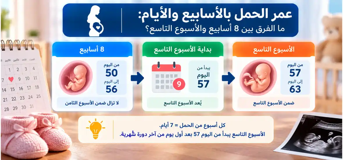 عمر الحمل بالأسابيع والأيام ما الفرق بين 8 أسابيع والأسبوع التاسع